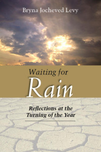 Bryna Jocheved Levy — Waiting for Rain: Reflections at the Turning of the Year