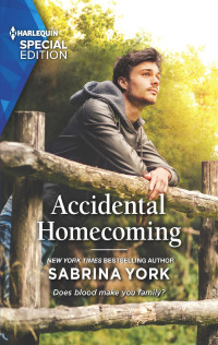 Sabrina York — Accidental Homecoming