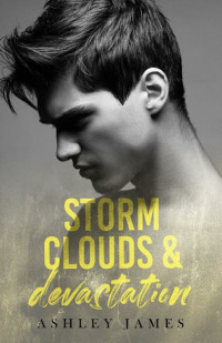 Ashley James — Storm Clouds and Devastation (Hidden Affairs Book 2)