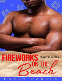 Poppy Parkes [Parkes, Poppy] — Fireworks on the Beach (Down the Shore Book 2)