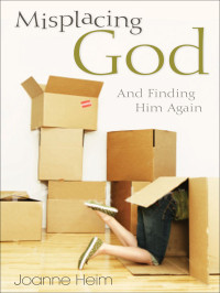 Joanne Heim — Misplacing God