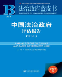 中国政法大学法治政府研究院 — 中国法治政府评估报告 2020