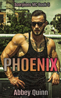 Abbey Quinn — Phoenix: Enemies to lovers, second chance, alpha male