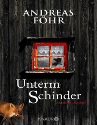 Andreas Föhr — Unterm Schinder