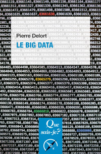 Pierre Delort — Le Big Data