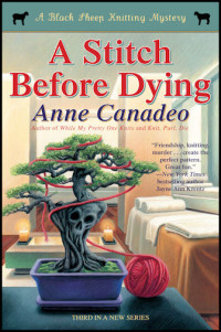 Anne Canadeo — A Stitch Before Dying