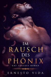 Ernesto Vida — Im Rausch des Phönix: Gay Fantasy Roman (German Edition)