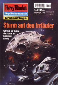 Ellmer, Arndt — [Perry Rhodan 2116] • Sturm auf den Irrlaufer