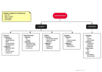 CamScanner — diagnostic scheme