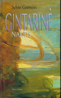 Sylvie Germain — Gintarine naktis