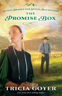 Tricia Goyer; — The Promise Box