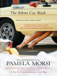 Pamela Morsi — The Bikini Car Wash