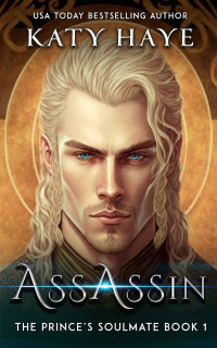 Katy Haye — Assassin (The Prince's Soulmate Book 1) MM