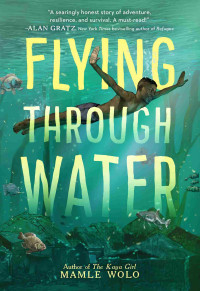 Mamle Wolo — Flying Through Water
