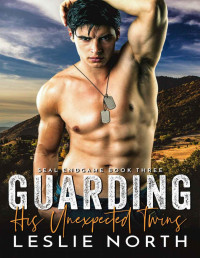 North, Leslie — Guarding His Unexpected Twins: SEAL Endgame Book Three
