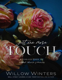 Willow Winters — Just One More Touch: A Collection of Second Chance Romances