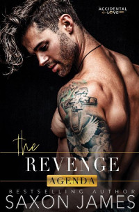 Saxon James — 3 - The Revenge Agenda: Accidental Love