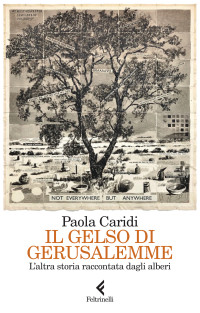 Paola Caridi — Il gelso di Gerusalemme