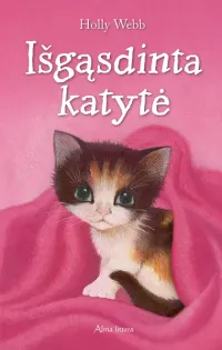 Holly Webb — Išgąsdinta katytė