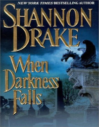 Shannon Drake — When Darkness Falls