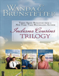 Wanda E. Brunstetter — Indiana Cousins Trilogy