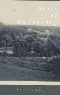 Kathy L Salt — State of Emergency