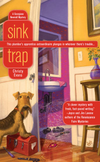 Christy Evans [Evans, Christy] — Sink Trap