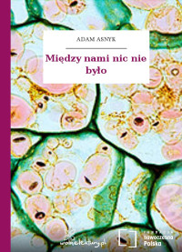 Adam Asnyk — Między nami nic nie było