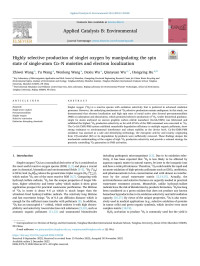 Zhiwei Wang — Highly selective production of singlet oxygen by manipulating the spin state of single-atom Co–N moieties and electron localization