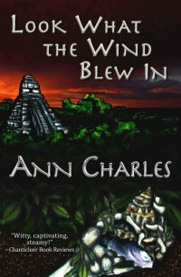 Charles, Ann — Dig Site Mystery 01-Look What the Wind Blew In