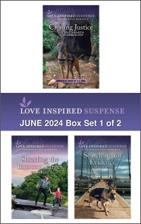 Valerie Hansen, Terri Reed and Carol J. Post — Love Inspired Suspense June 2024 Box Set 1 of 2