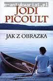 Jodi Picoult — Jak z obrazka