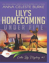 Anna Celeste Burke [Burke, Anna Celeste] — Lily's Homecoming Under Fire