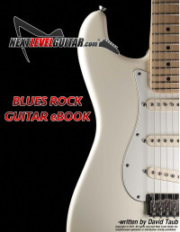 David Taub — Blues Rock Guitar eBook