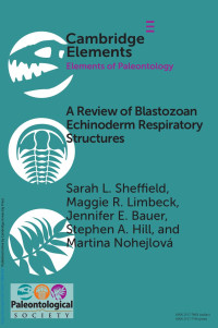 Sarah l. Sheffield, Maggie R. Limbeck, Jennifer E. Bauer, Stephen A. Hill & Martina Nohejlová — A Review of Blastozoan Echinoderm Respiratory Structures