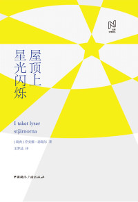 乔安娜·瑟戴尔 — 屋顶上星光闪烁 (北欧文学译丛)