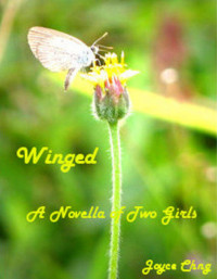 Joyce Chng — Winged: A Novella (Of Two Girls)