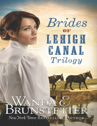 Wanda E. Brunstetter — Brides of Lehigh Canal Trilogy: Kelly’s Chance | Betsy’s Return | Sarah’s Choice