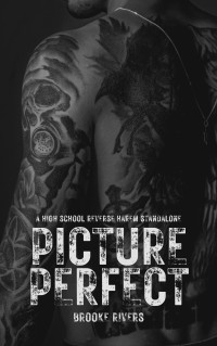 Brooke Rivers — Picture Perfect: Standalone Enemies to Lovers Reverse Harem (Beautifully Broken)