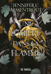 Jennifer L. Armentrout — Une lumière dans la flamme (La chair et le feu 2)