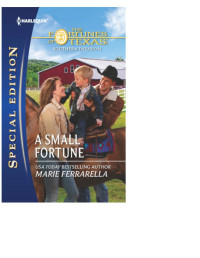Marie Ferrarella [Ferrarella, Marie] — A Small Fortune