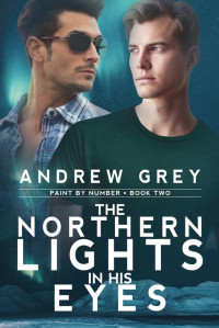 Andrew Grey — The Northern Lights in His Eyes (Paint By Number)