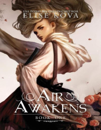 Elise Kova — Air Awakens (Air Awakens #1)