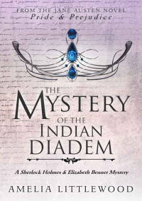 Amelia Littlewood — 02-The Mystery of the Indian Diadem [Arabic]