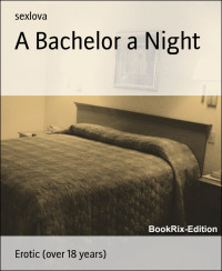 sexlova — A Bachelor a Night