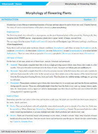 Vidyamandir Classes — Morphology of Flowering Plants