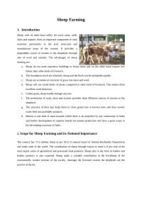 kvs .Prasad — 29. SHEEP FARMING (INGLES) (ARTICULO) AUTOR NABARD