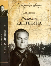 Александр Ильич Егоров — Разгром Деникина