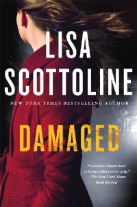 Lisa Scottoline — Rosato & DiNunzio 04 - Damaged