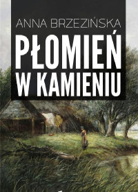 Anna Brzezińska — Płomień w kamieniu